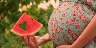 watermelon slices in the hands of pregnant women